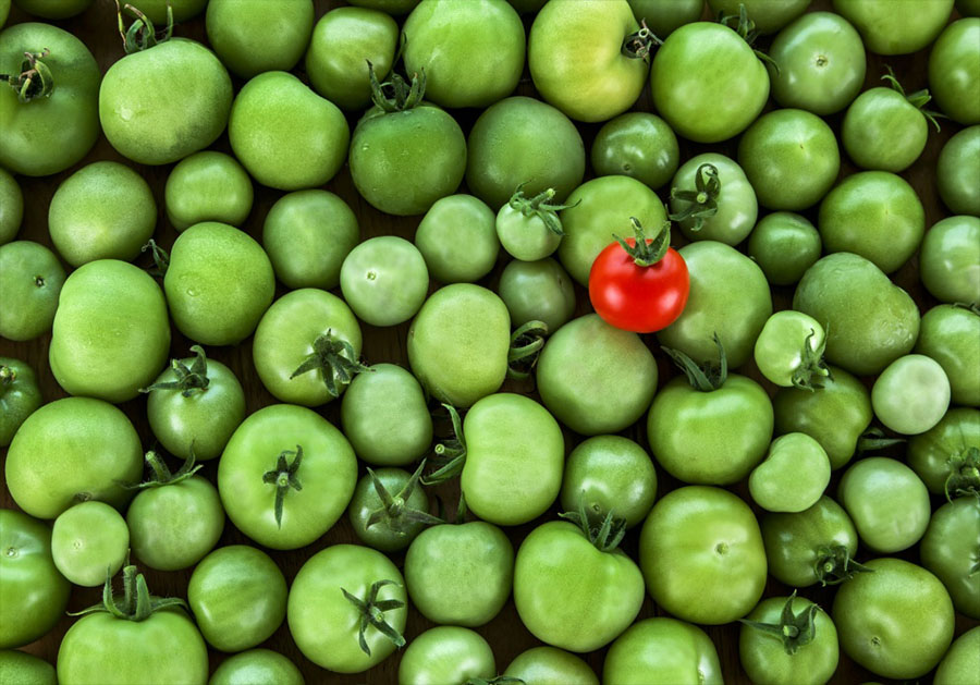 Игра в имитацию: чем опасны гормоны в продуктах питания